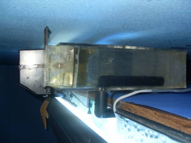 Hang on Tank Refugium With Skimmer $100 SDC10085