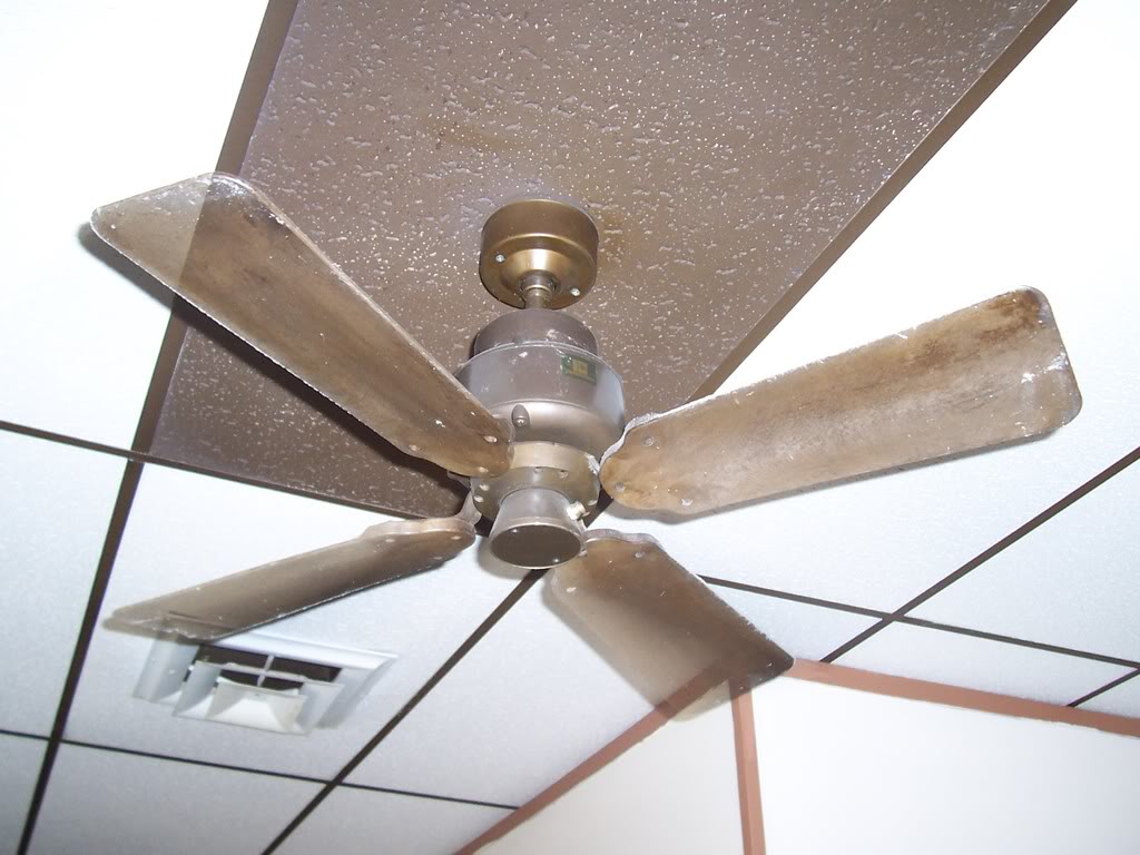 36" Emerson 'Heat Fan' (4 blade, K63, Brown) PicturesI446