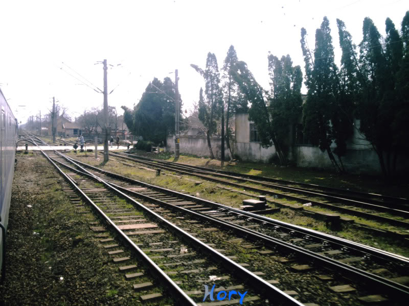 Excursie feroviara Campia Turzii-Timisoara Nord 175