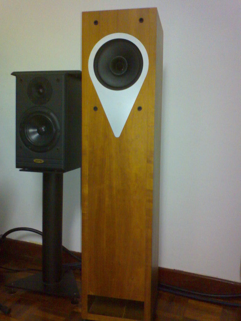 Loth-X Ambience speakers (Used) SOLD DSC00070