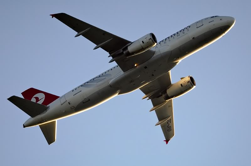 Spotting extrem - Pagina 4 A320_Turkish_800_DSC_2274