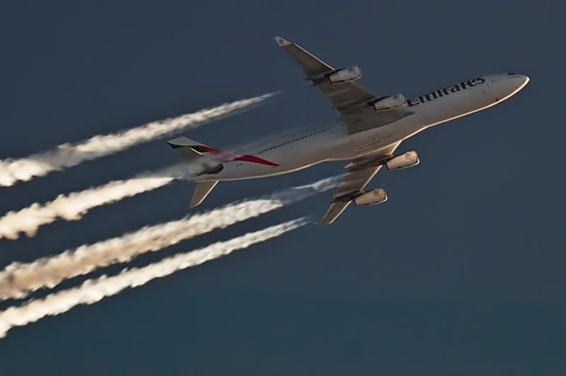 Spotting extrem - Pagina 16 A340_Emirates_800_DSC_3899