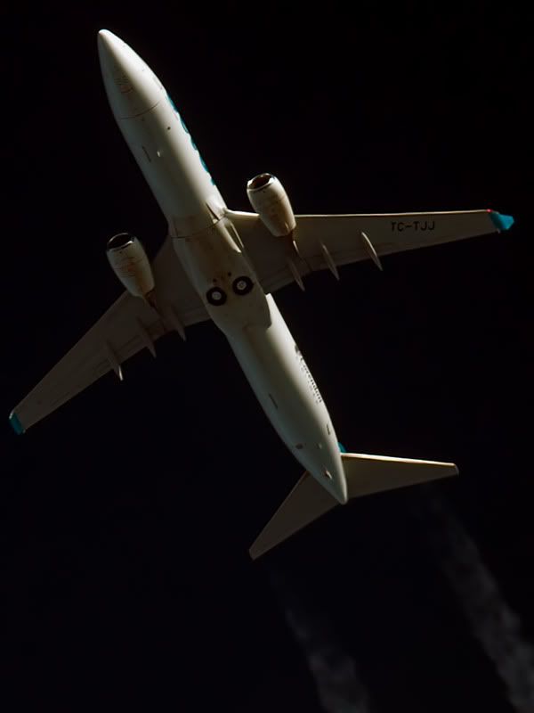 Spotting extrem - Pagina 18 B737_Corendon_600_DSC_8208