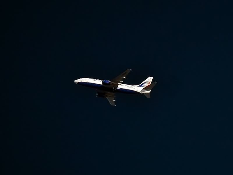 Spotting extrem - Pagina 4 B737_Transaero_800_DSC_1496