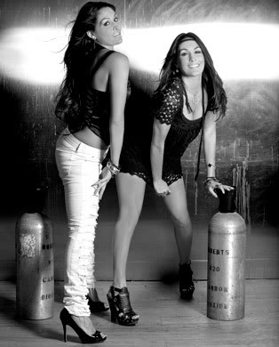 The Bella Twins The_Bella_Twins_1