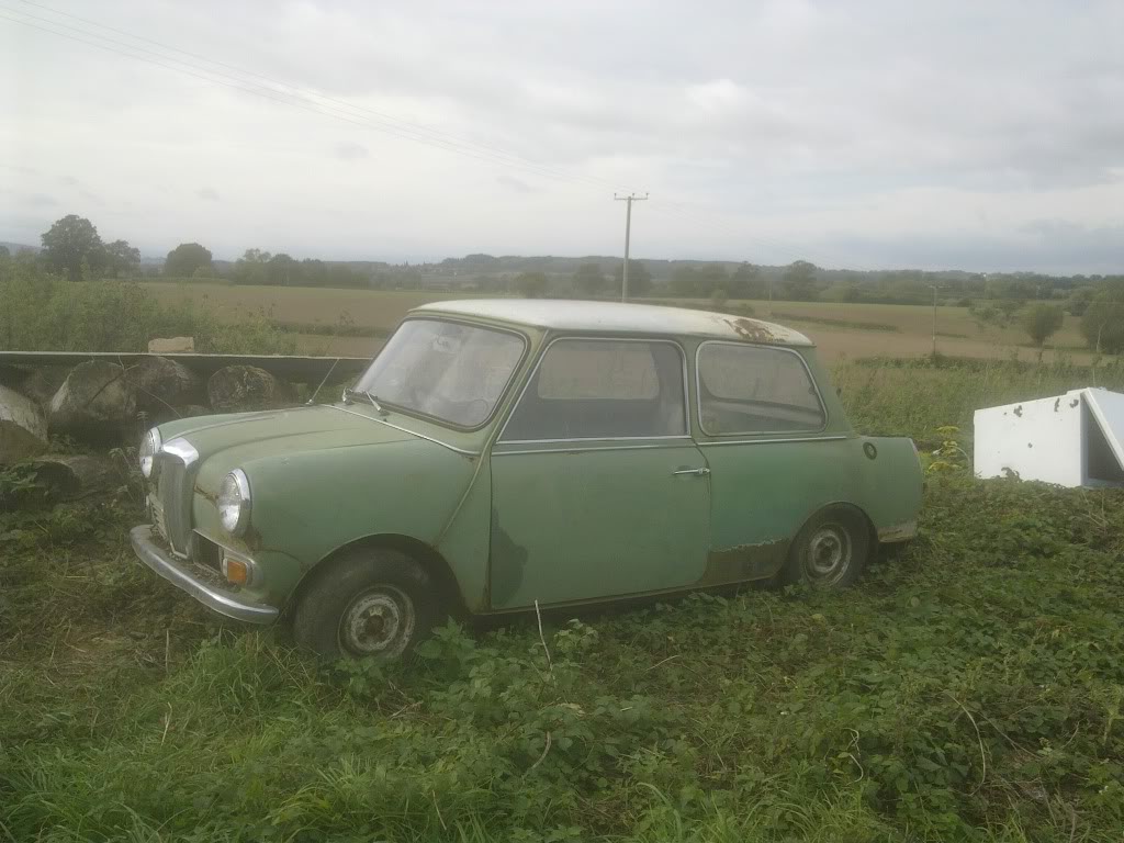 riley and wolseley Eebay004