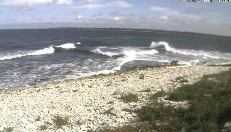 Grey Seal webcam Lained22009-08-2712-38-00-69