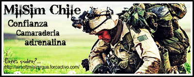 Afiches Milsim chile FIMRA