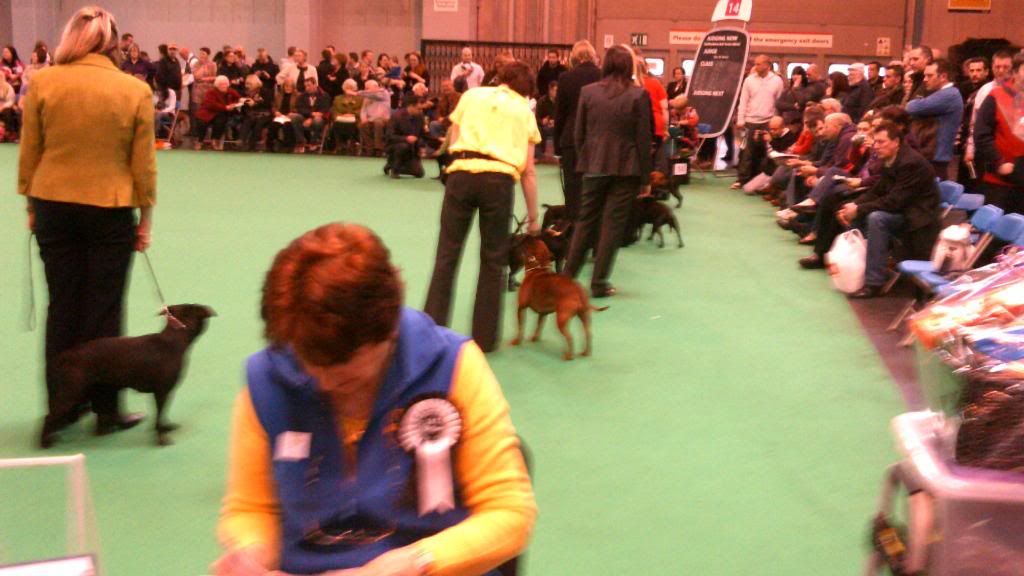 Some pics & vids from CRUFTS - warning, PIC HEAVY! DSCF0040