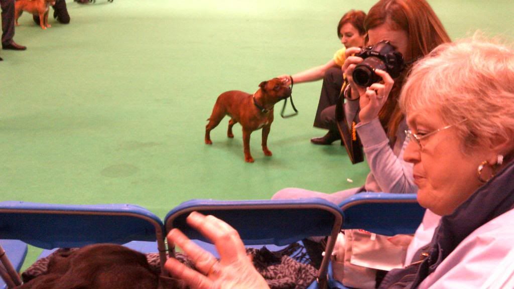 Some pics & vids from CRUFTS - warning, PIC HEAVY! DSCF0041