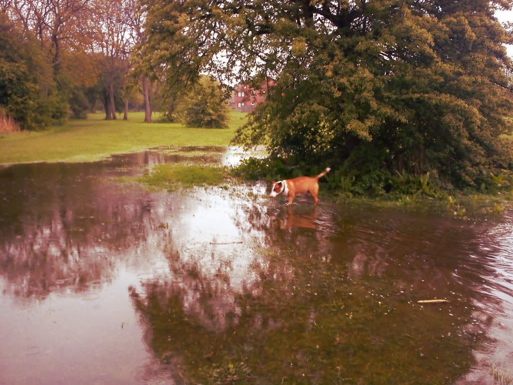 Drought........ DSC00663-1