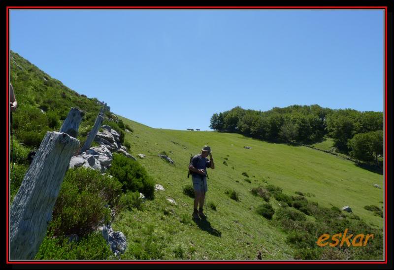 altos de ason (LOS CAMPANARIOS 1325 MTS ) Camkikin141