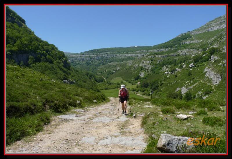 altos de ason (LOS CAMPANARIOS 1325 MTS ) Camkikin172