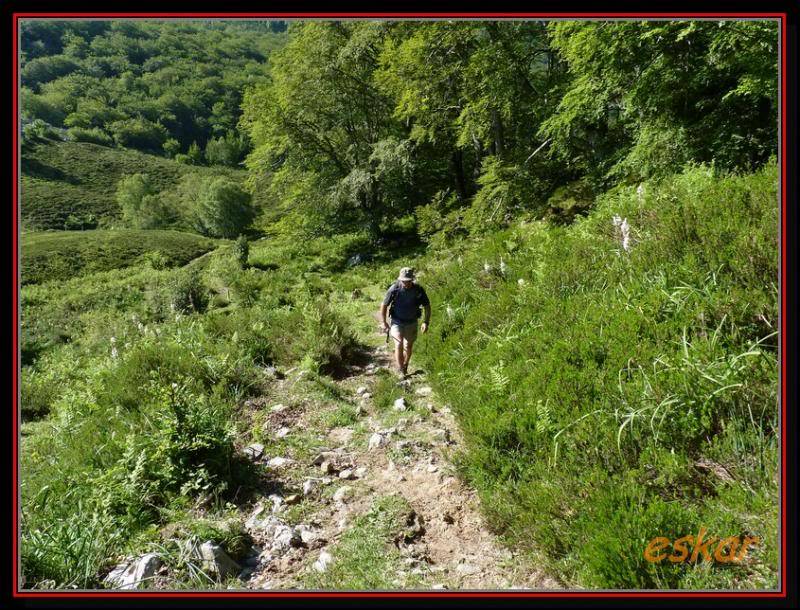 altos de ason (LOS CAMPANARIOS 1325 MTS ) Camkikin52