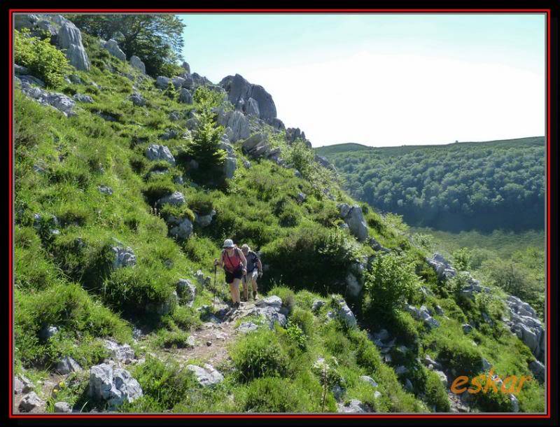 altos de ason (LOS CAMPANARIOS 1325 MTS ) Camkikin57