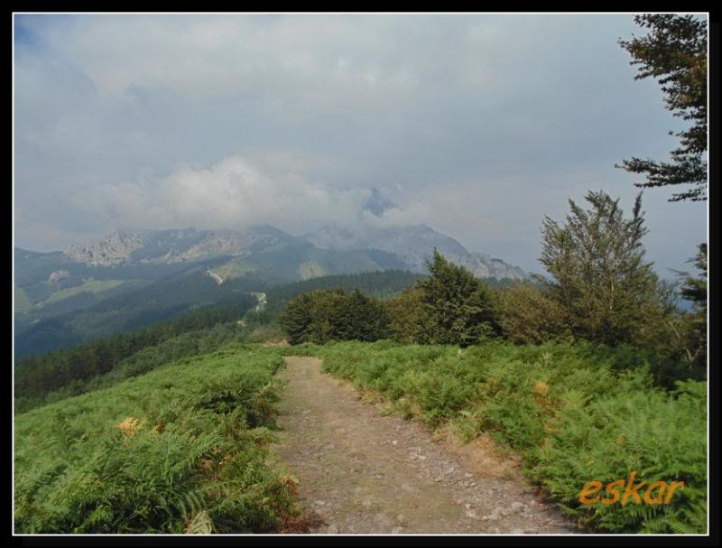 circular arrazola , besaide , tellamendi , arrazola 31 -8-13 T123