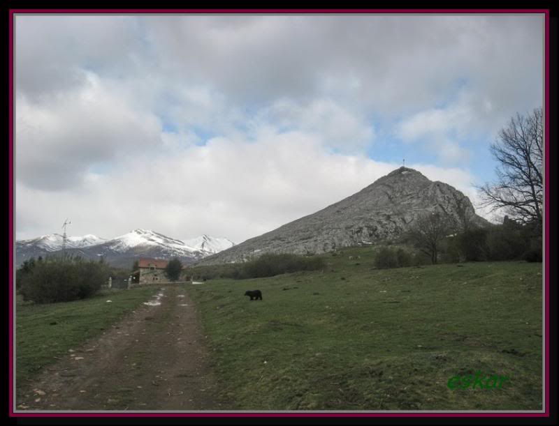 PEÑA TREMAYA 1443 mts (montaña palentina) P14