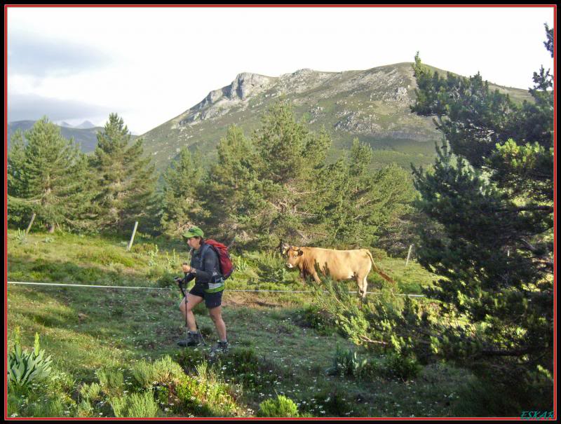 PICO LAGO 2009 MTS ENTRE PAQUE REDES Y LOS MAMPODRES Picolago6