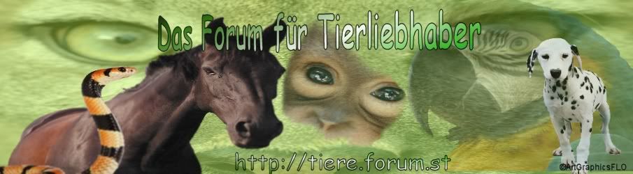 Unsere Forenbanner Bild3-1