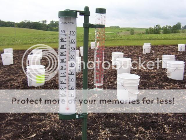 My New Rain Gauge 100_5859