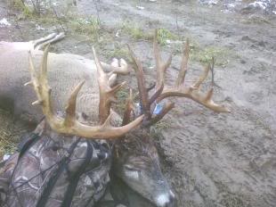 Possible New Record Deer. Recordbuck2