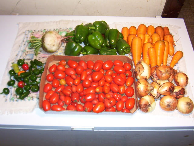 Canning season 2010 Salsa2010002