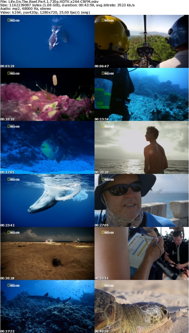 Life On The Reef Part 1 720p HDTV x264-CBFM A2eaa61b5981f113dc28e6eb2752f71b