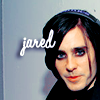 Jared avatar Jared105