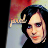 Jared avatar Jared107