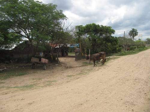  Se buscan mercenarios 03: Bolivia 2013 - Página 2 Balsa11_zpsd538627b