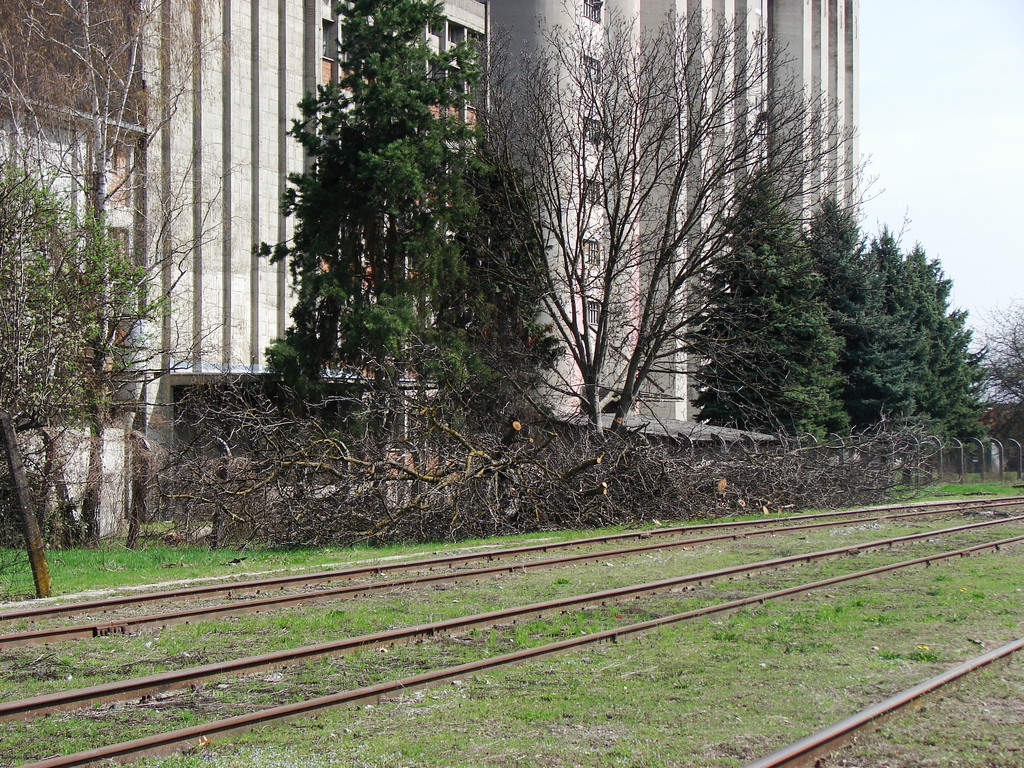 Sliice poeke pruge i Zlatne doline  DSC01516_zpstak2xqai