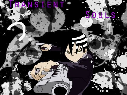 Transient Souls: A Literate OC, AU Soul Eater RP! TS