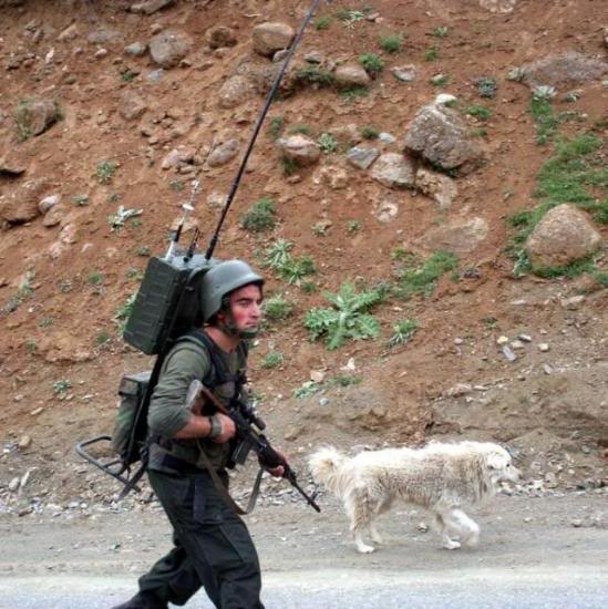 Armée Turque/Turkish Armed Forces/Türk Silahlı Kuvvetleri (Tome I) - Page 22 LiveImages_FotoHaber_Tunceli-Bin-4