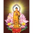 Maha Sukhavati Vyuha Amitabha Sutra (Sutra Tanah Suci Kebahagiaan Amitabha Buddha) Amitofo