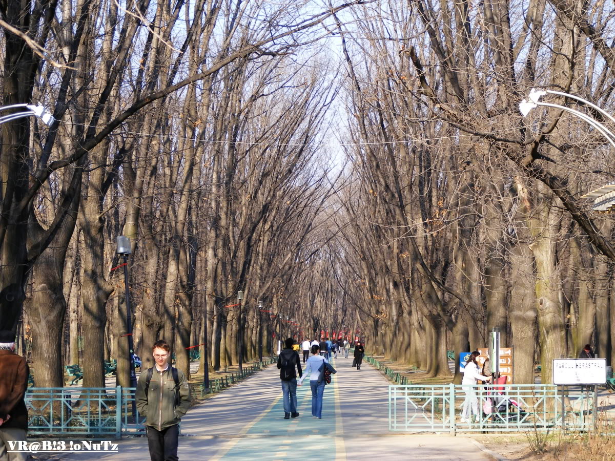 PARCUL HERASTRAU -- BUCURESTI 4cf79f45