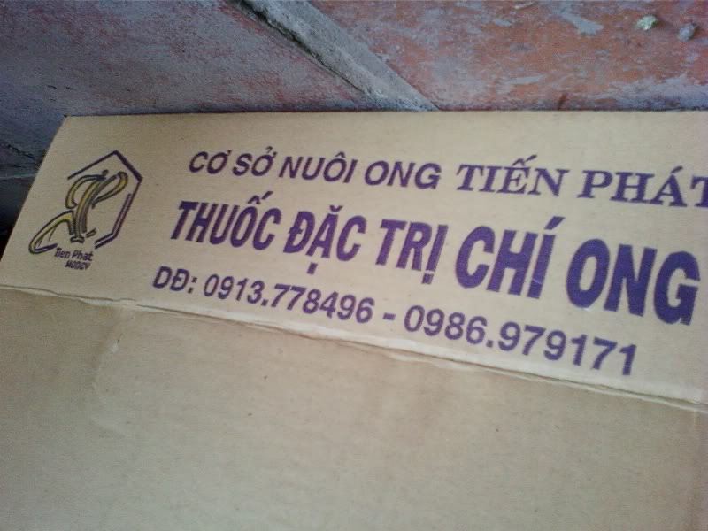 thuc tap chan nuoi ong  ngay 20/3/2011 Sack-0056