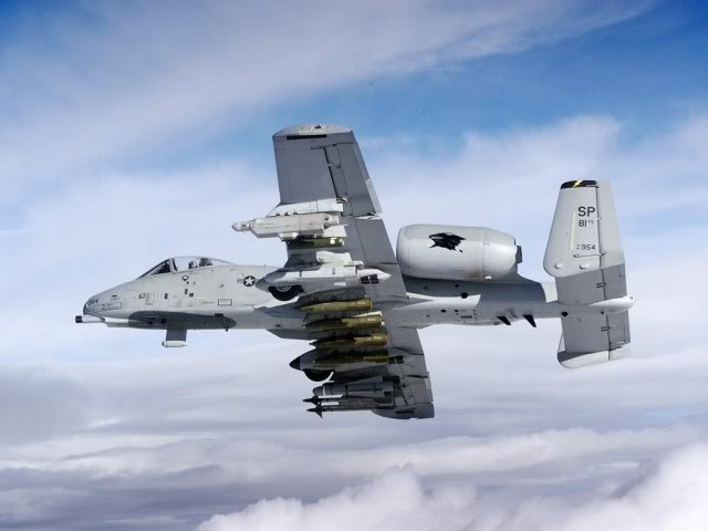 10000!! yeeeeeeeeeeeeeeeeeeees! A10_Thunderbolt_Warthog