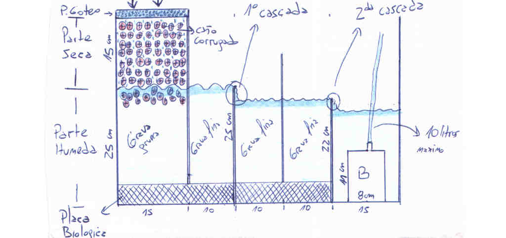 Filtros MisdocumentosenT40Tamex0008