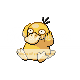 Rota n° 19  Psyduck