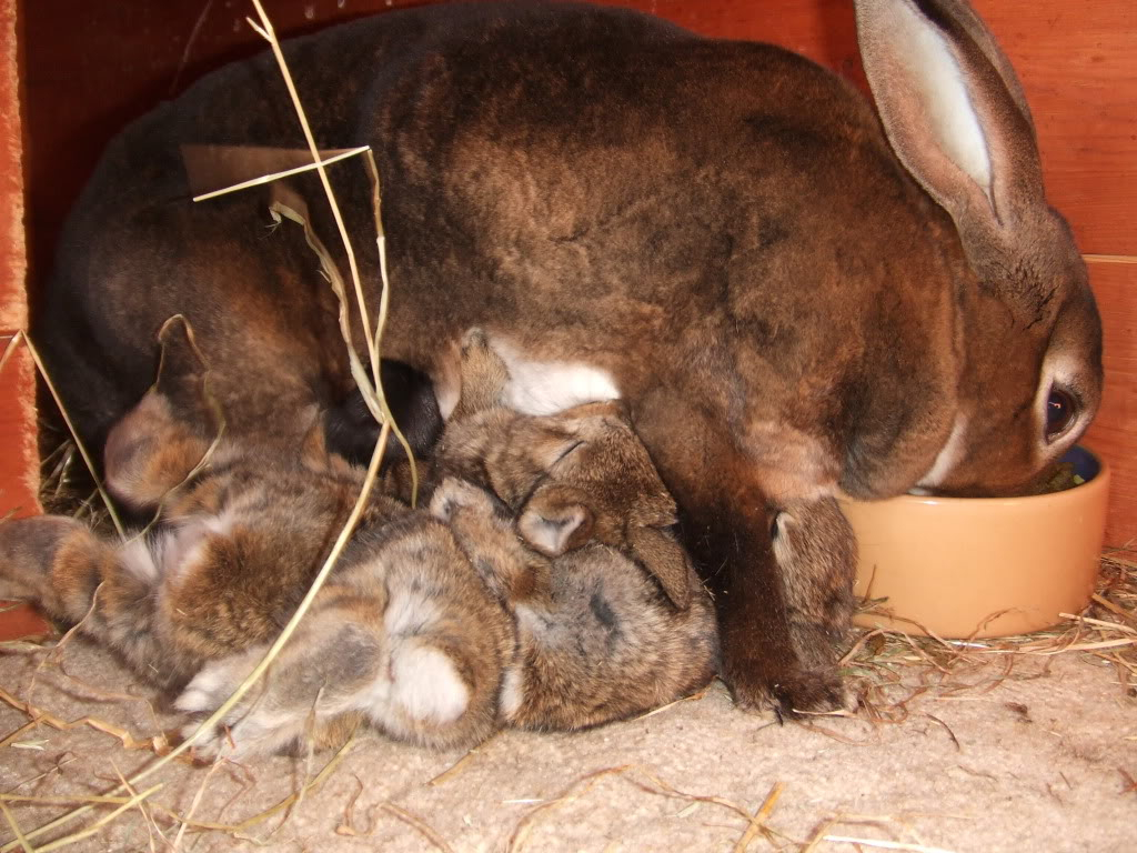 MILK TIME ...tuck in kids (warning super cute!) 2011_0402april20110066