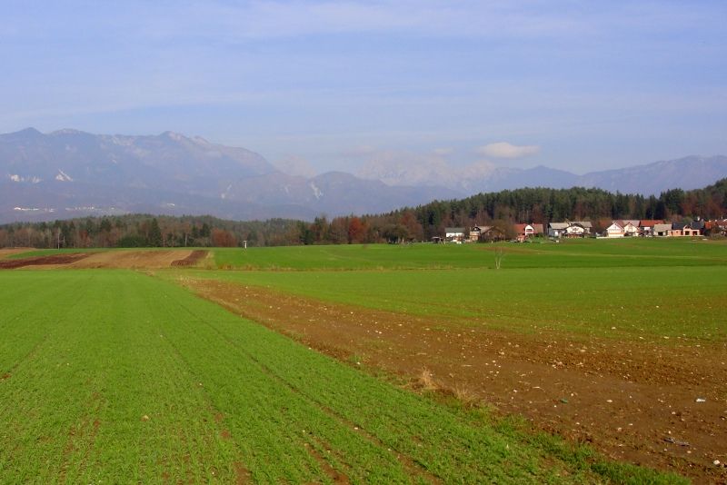 Od Kamnike do Bohinjske pruge DSC07362