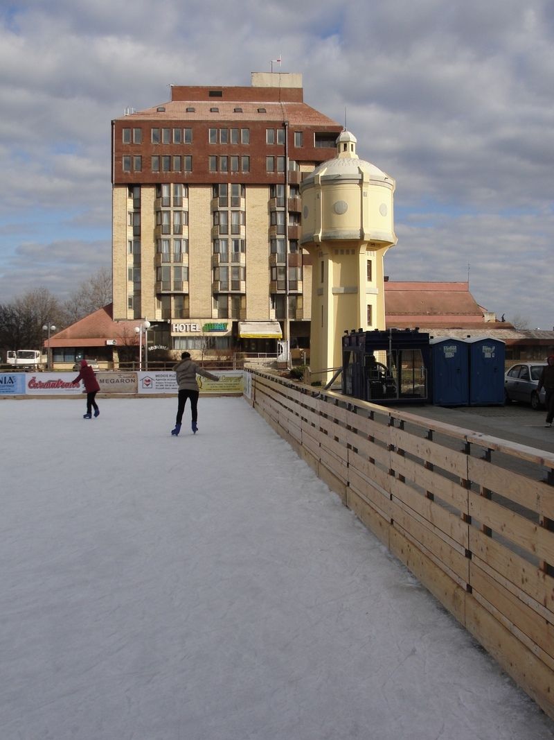 LLeonovo alabajzanje istonom Slavonijom DSC08067