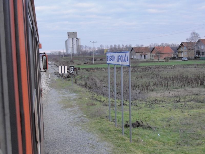 LLeonovo alabajzanje istonom Slavonijom DSC08125