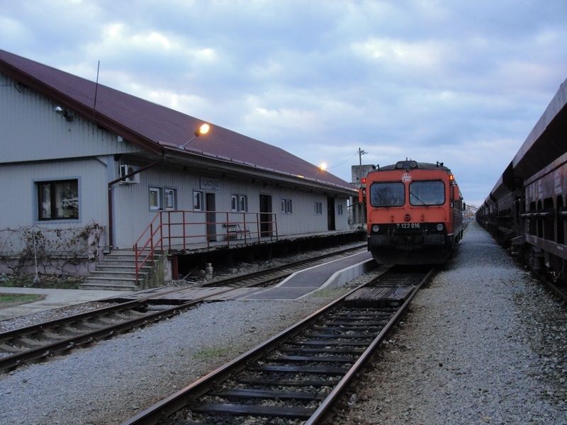 LLeonovo alabajzanje istonom Slavonijom DSC08146