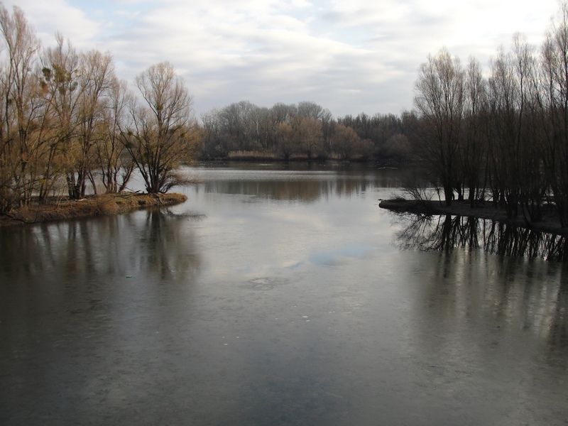 LLeonovo alabajzanje istonom Slavonijom DSC08202