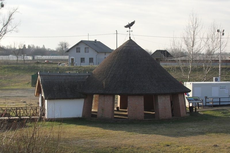 LLeonovo alabajzanje istonom Slavonijom DSC08215