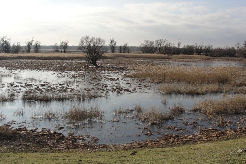 LLeonovo alabajzanje istonom Slavonijom DSC08219