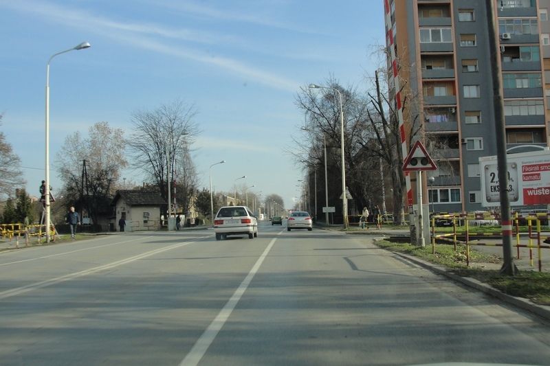 LLeonovo alabajzanje istonom Slavonijom DSC08254