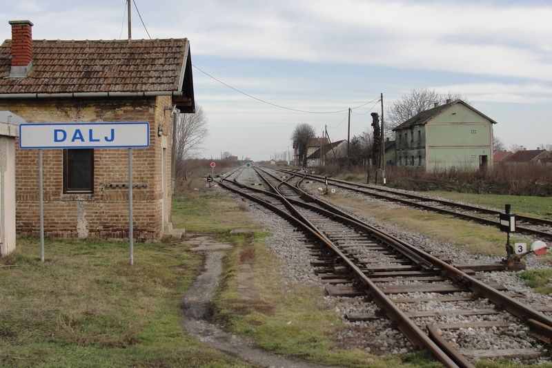 LLeonovo alabajzanje istonom Slavonijom DSC08280