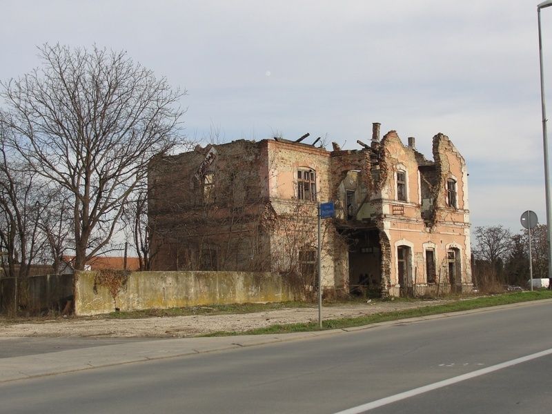 LLeonovo alabajzanje istonom Slavonijom DSC08292